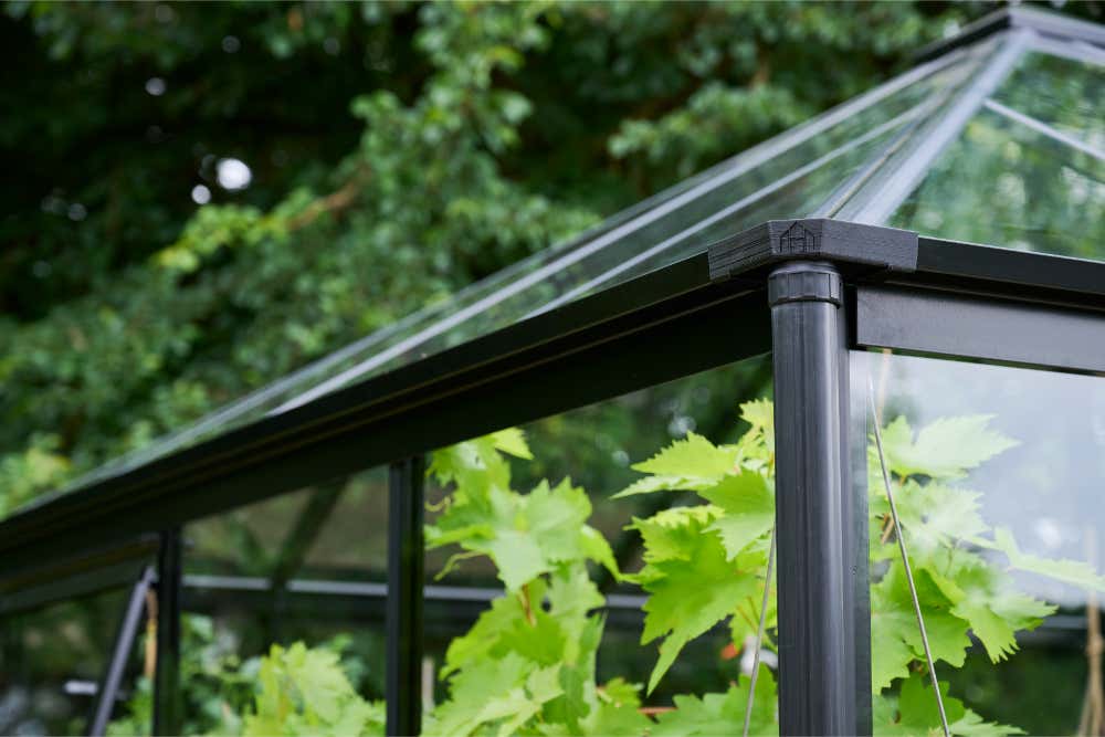 halls-gewachshaus-qube-square--249441-J3-1-00038-1000x667