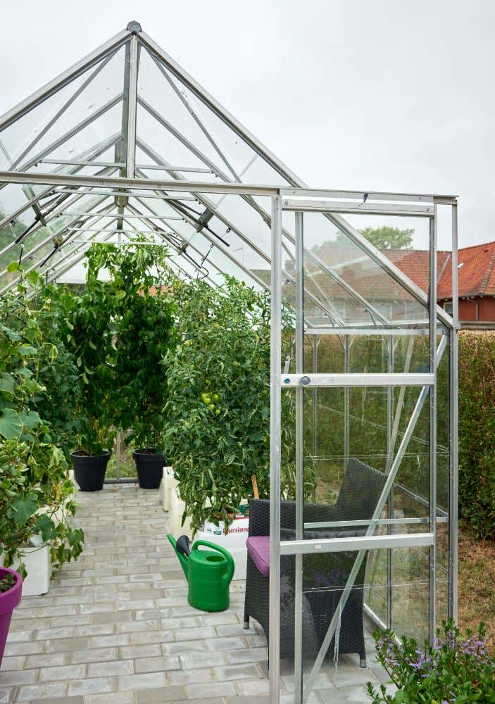 halls-gewachshaus-magnum-148---11-5-m-225741-J3-1-00034-0-703x1000