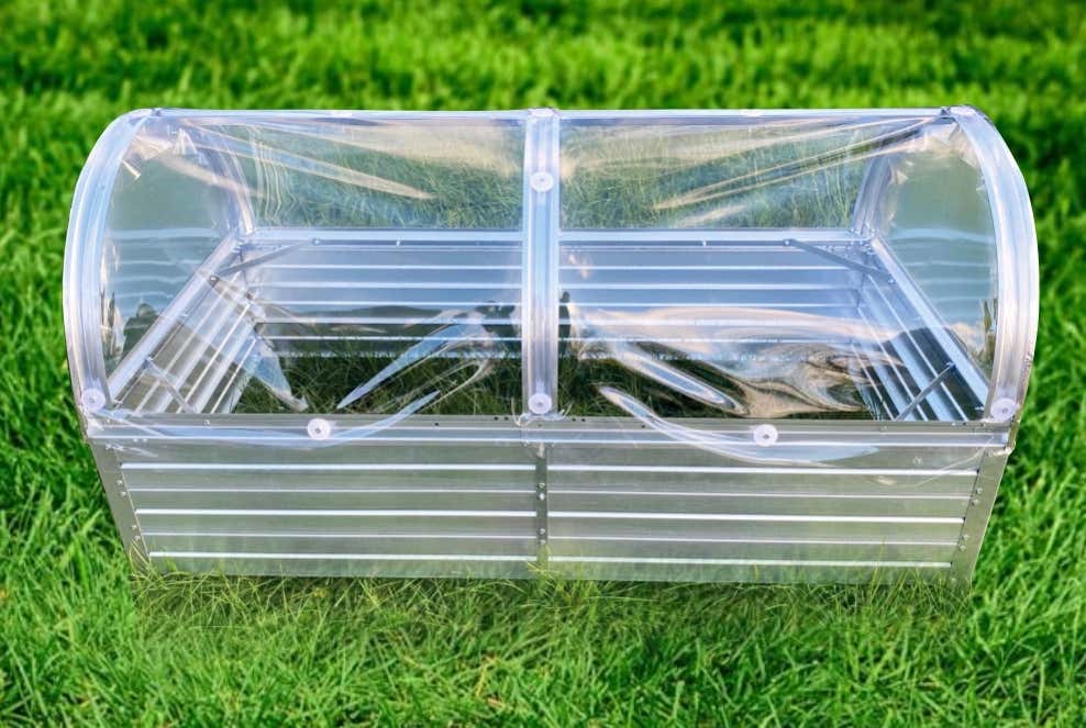 terrando-mini-gewachshaus-rubio-242917-PA-6-00007-parent-988x663 terrando-mini-gewachshaus-rubio-242917-PA-6-00007-parent-988x663