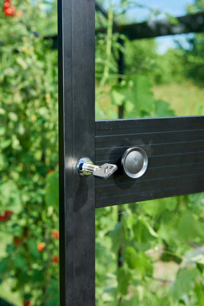 halls-gewachshaus-blockley-225301-J3-1-00026-0-667x1000