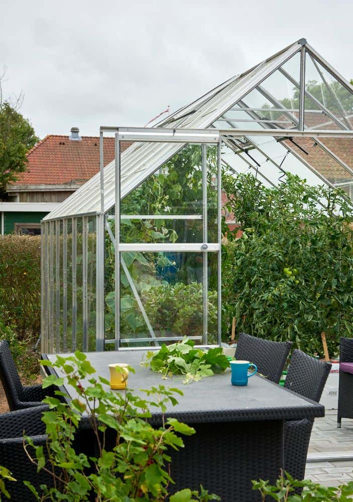 halls-gewachshaus-magnum-148---11-5-m-225735-J3-1-00034-0-703x1000