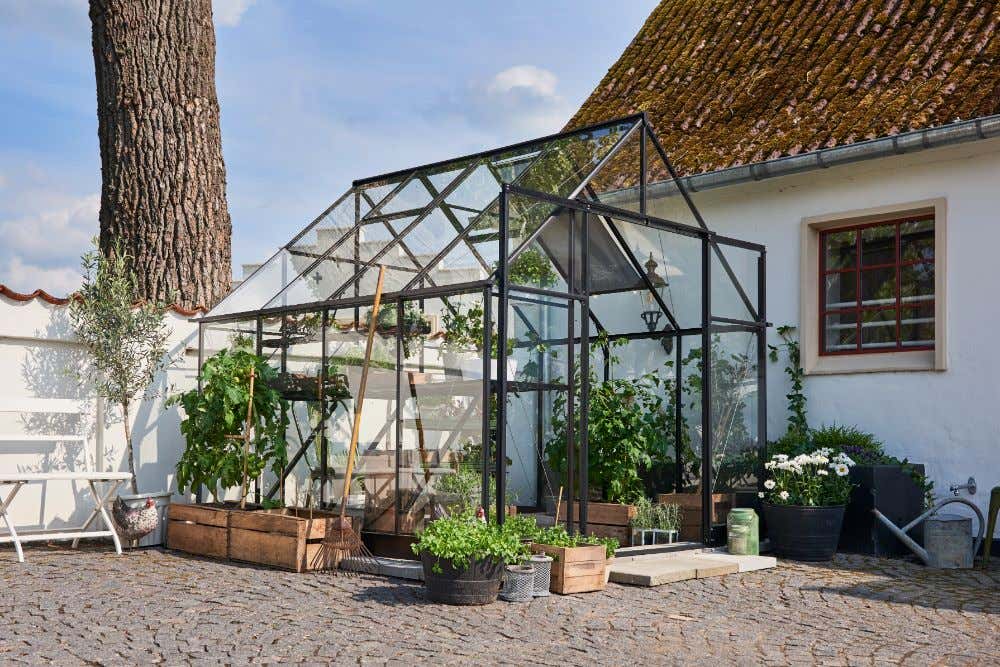 Halls Gewächshaus Qube+