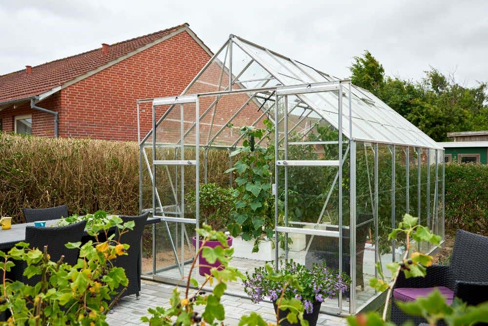 halls-gewachshaus-magnum-148---11-5-m-225743-J3-1-00034-0-1000x667