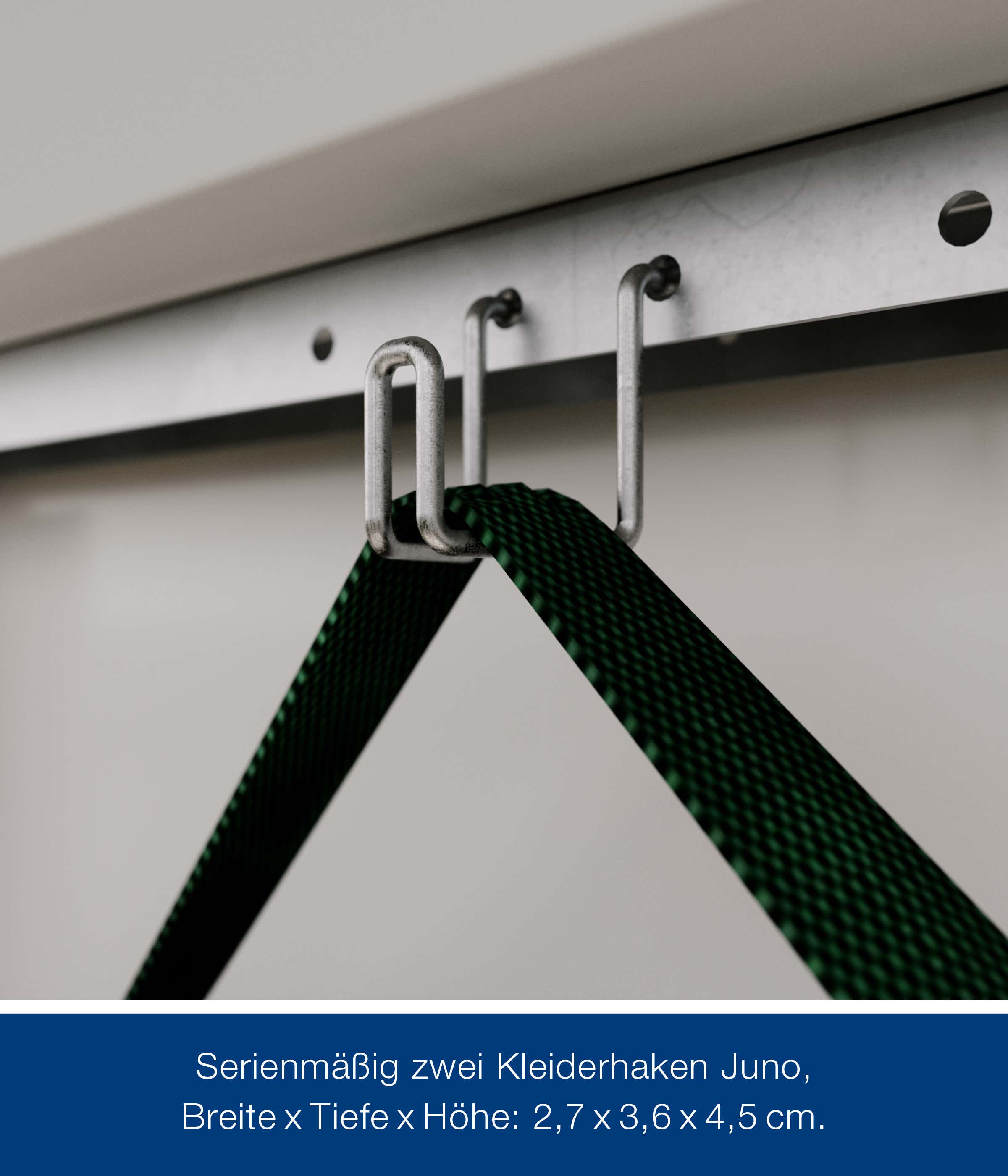 hormann-metallgeratehaus-214x214cm-junoline-jsd5-266805-HA-1-00008-0-2400x2800