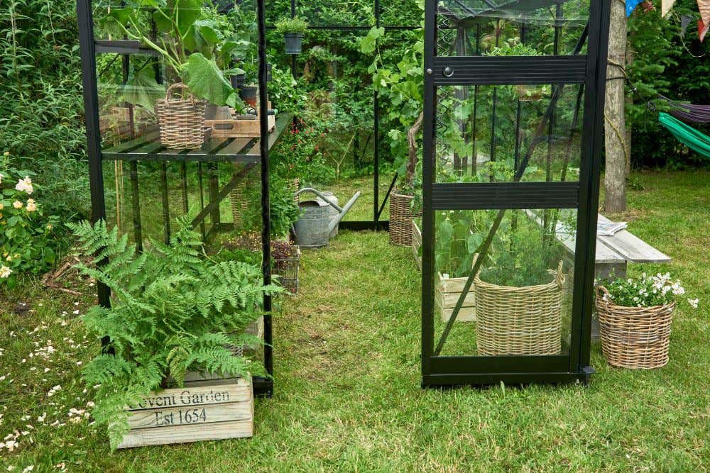 halls-gewachshaus-burford-225241-J3-1-00025-parent-1000x667