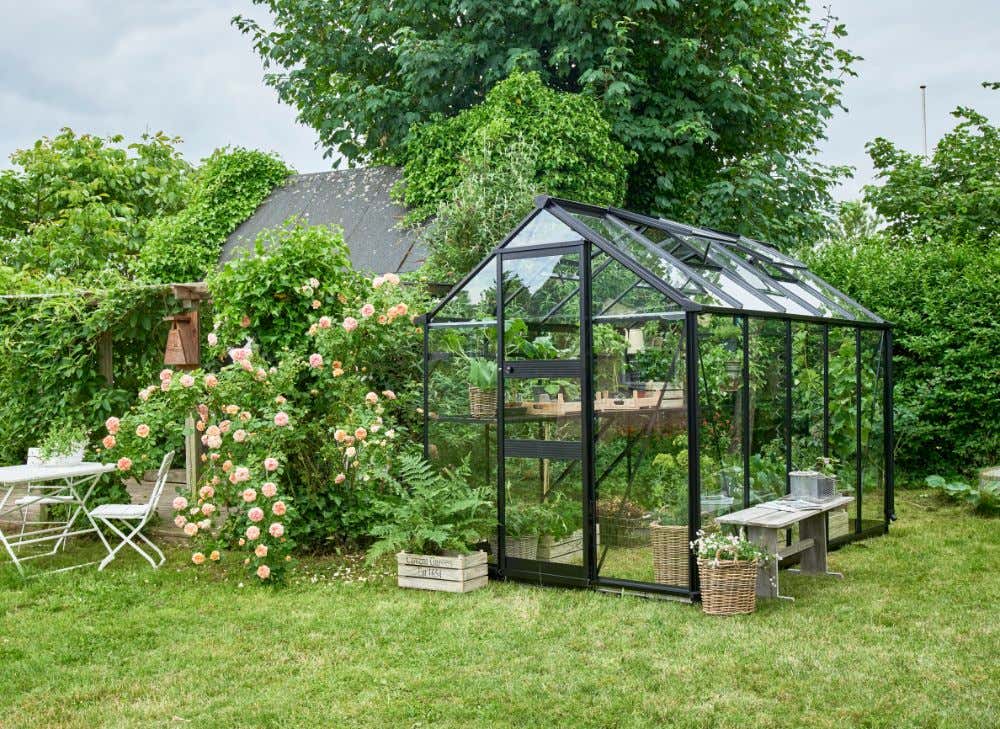 halls-gewachshaus-burford-225239-J3-1-00025-parent-1000x729