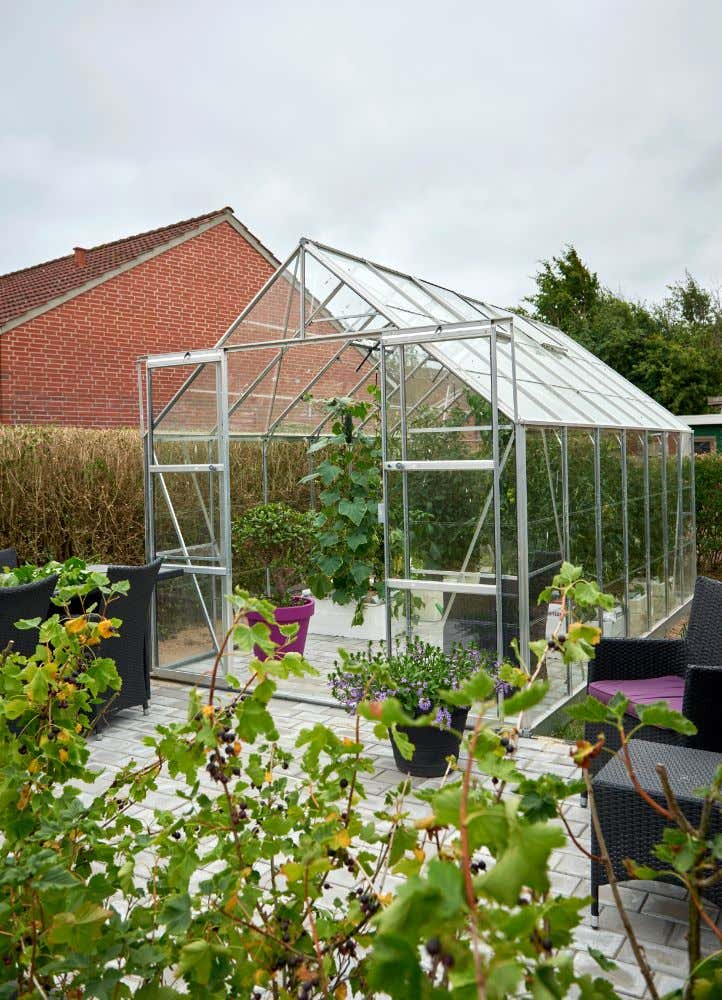 halls-gewachshaus-magnum-148---11-5-m-225737-J3-1-00034-0-722x1000