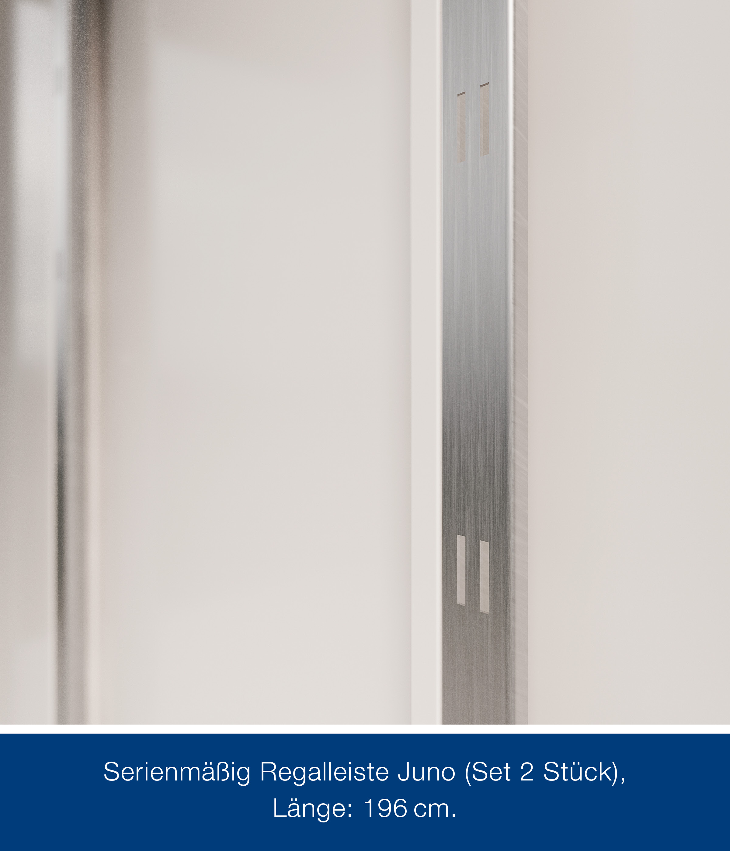 hormann-metallgeratehaus-310x310cm-junoline-jfd14-269660-HA-1-00028-0-2400x2800