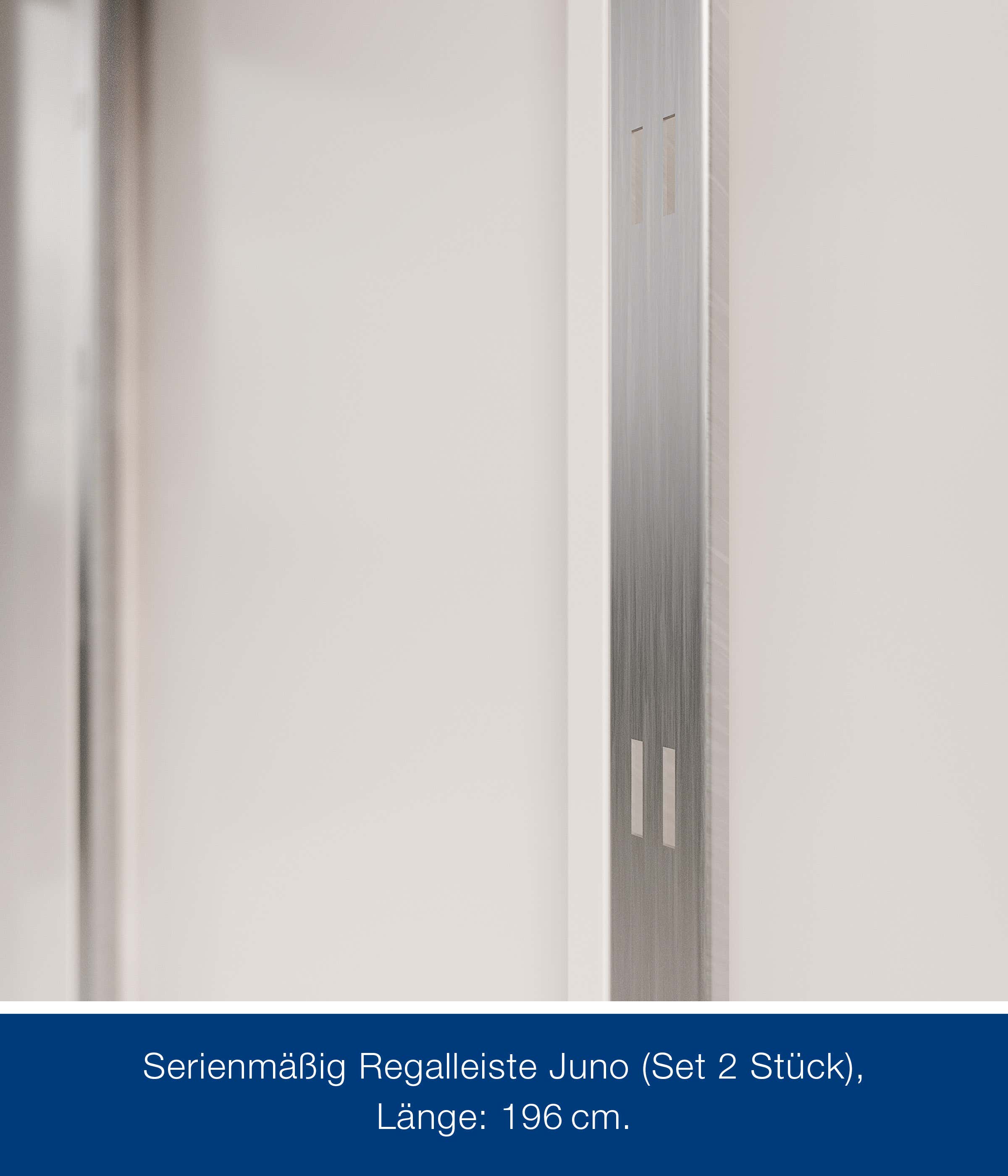 hormann-metallgeratehaus-310x262cm-junoline-jfd13-267251-HA-1-00027-0-2400x2800