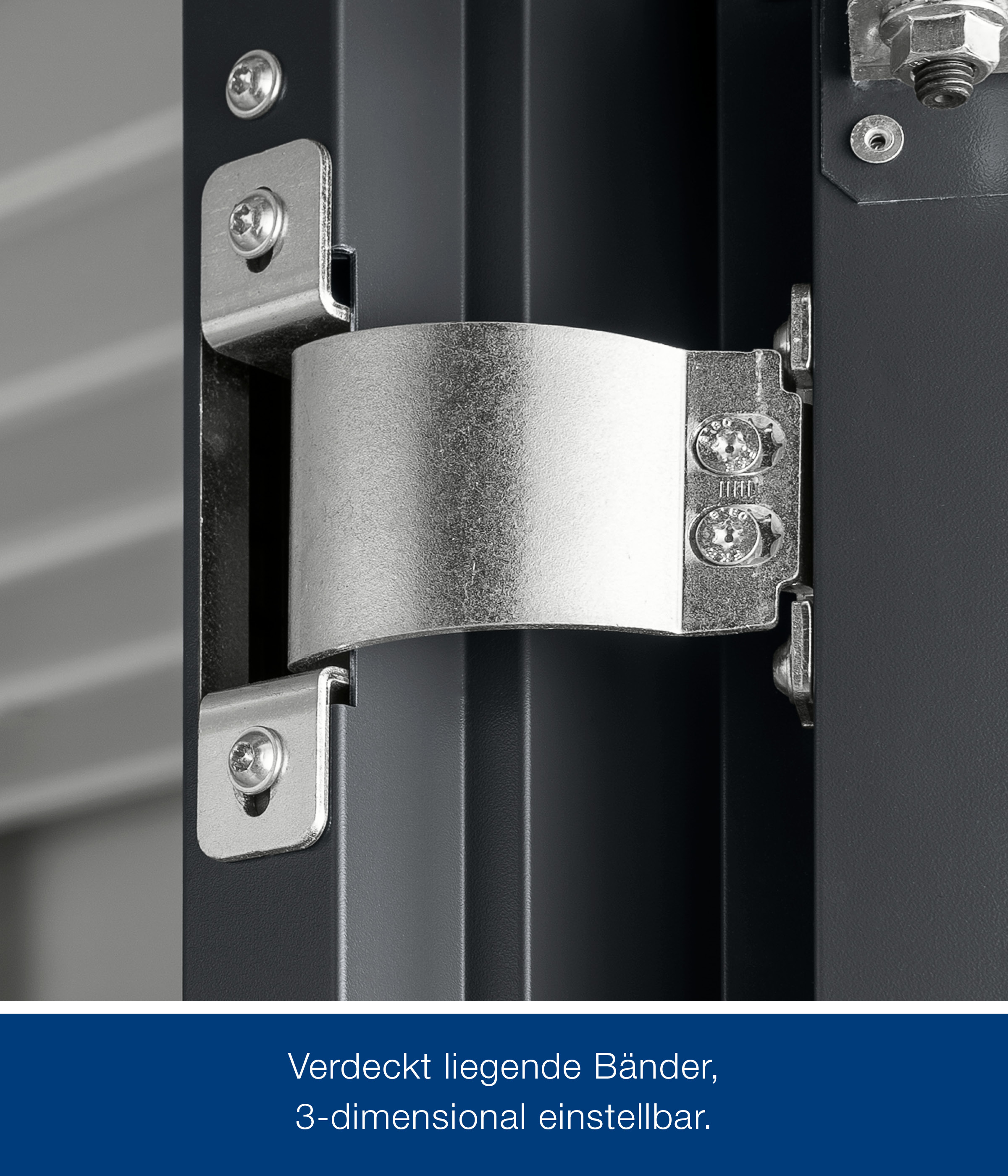 hormann-metallgeratehaus-310x310cm-junoline-jfd14-269656-HA-1-00028-0-2400x2800