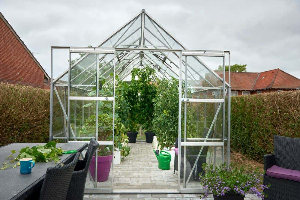 halls-gewachshaus-magnum-148---11-5-m-225727-J3-1-00034-0-1000x667