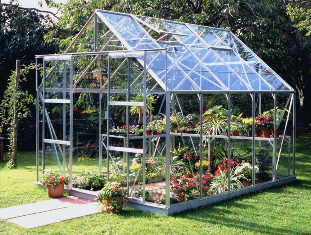 halls-gewachshaus-magnum-108---8-3-m-225779-J3-1-00032-0-1000x755