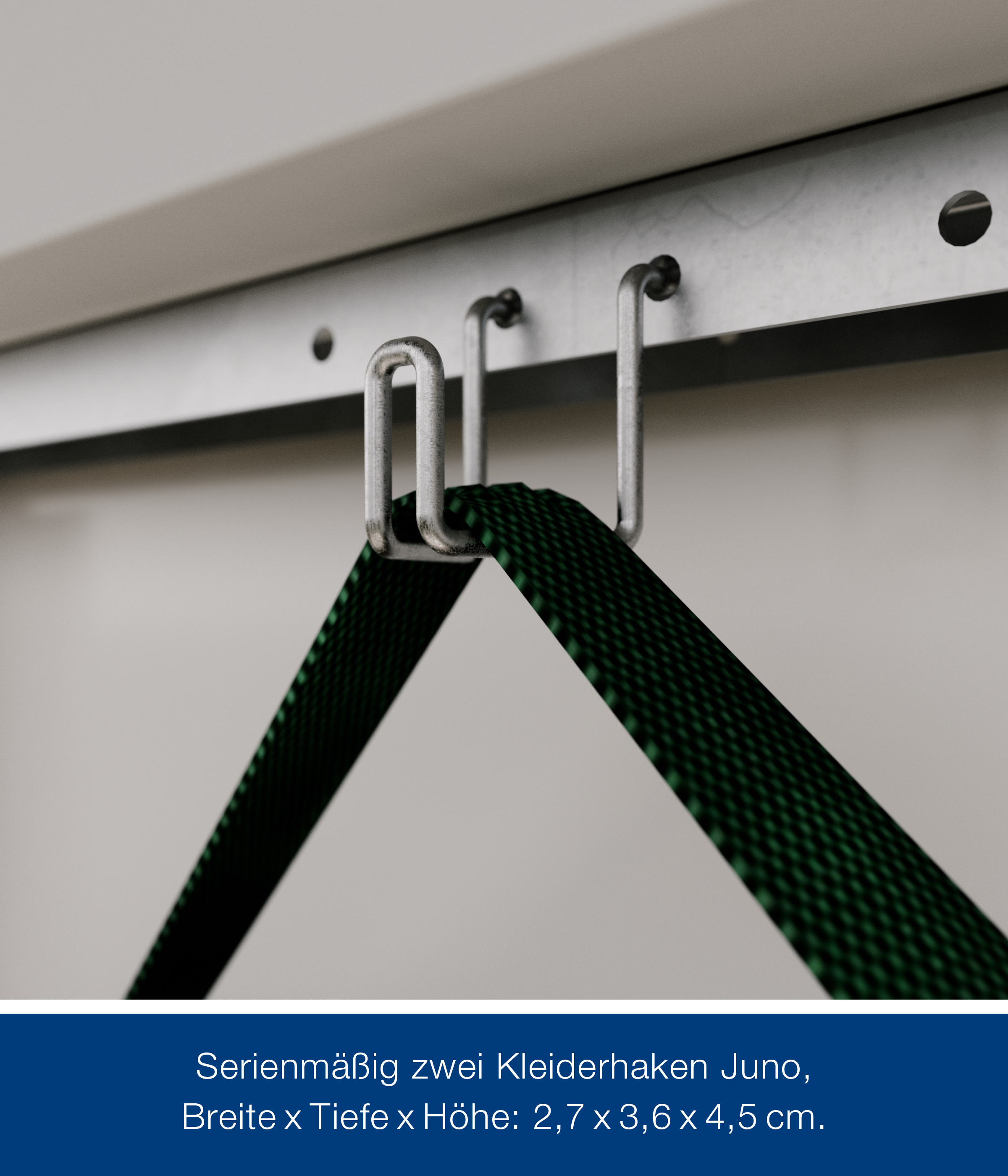 hormann-metallgeratehaus-310x310cm-junoline-jfd14-269661-HA-1-00028-0-2400x2800