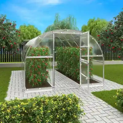 terrando-gewachshaus-estragon-3x8m-222189-PA-1-00006-1-1000x1000