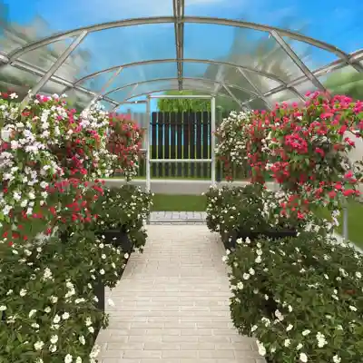 terrando-gewachshaus-estragon-3x8m-222187-PA-1-00006-1-1000x1000