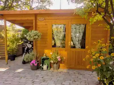 pultdach-gartenhaus-maria-mit-schleppdach-260660-L1-1-00043-5-793x595