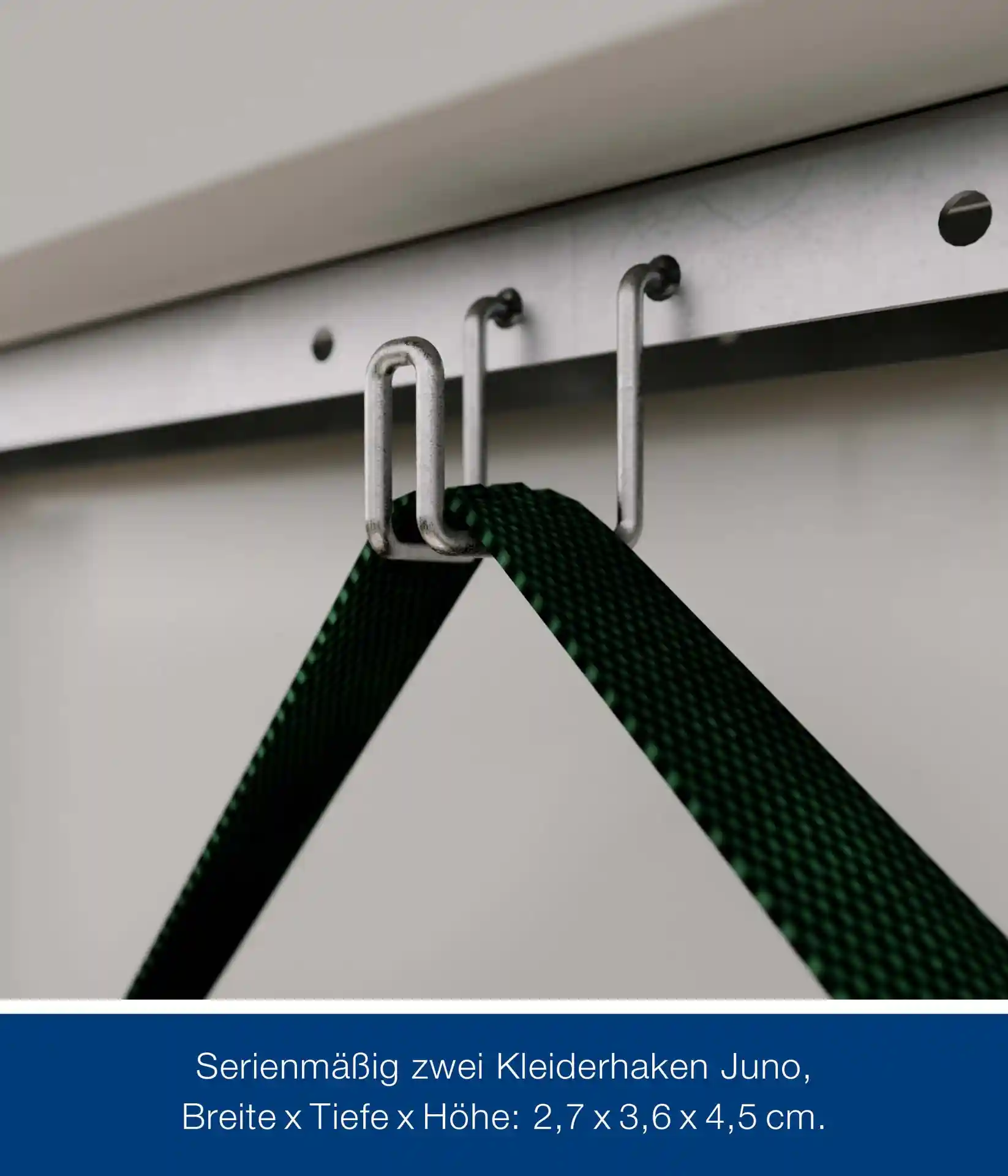 hormann-metallgeratehaus-310x262cm-junoline-jfd13-267332-HA-1-00027-6-2400x2800