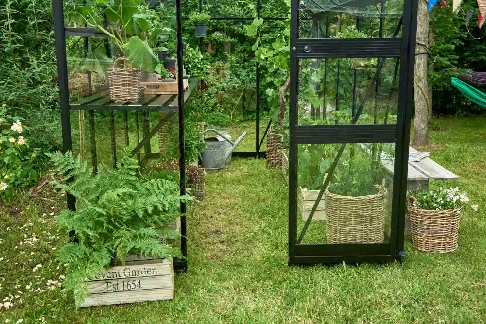 halls-gewachshaus-burford-225241-J3-1-00025-parent-1000x667