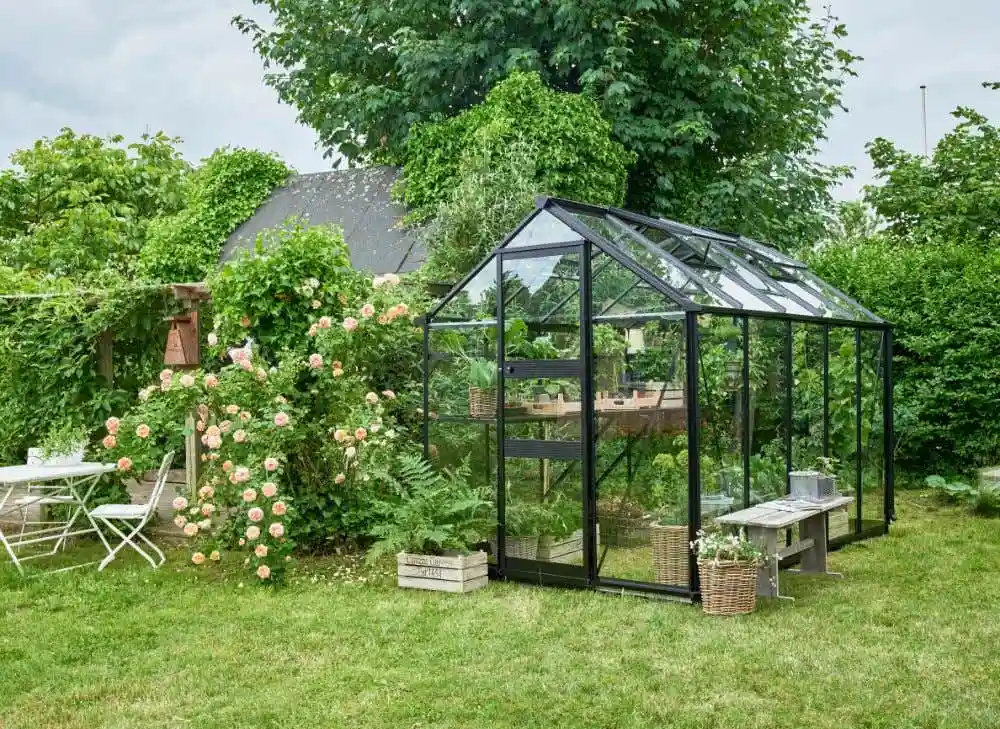 halls-gewachshaus-burford-225239-J3-1-00025-parent-1000x729