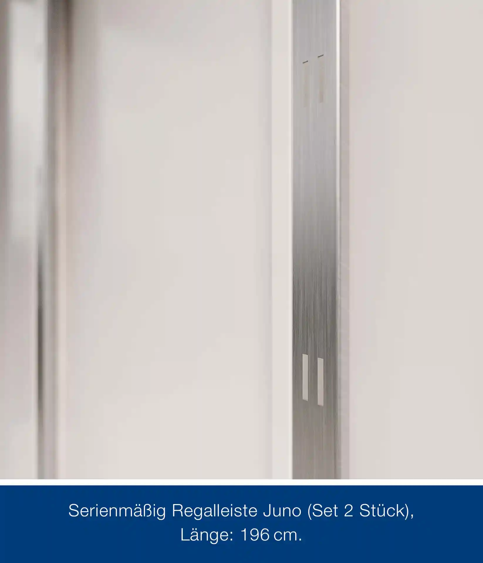 hormann-metallgeratehaus-310x262cm-junoline-jfd13-267331-HA-1-00027-6-2400x2800